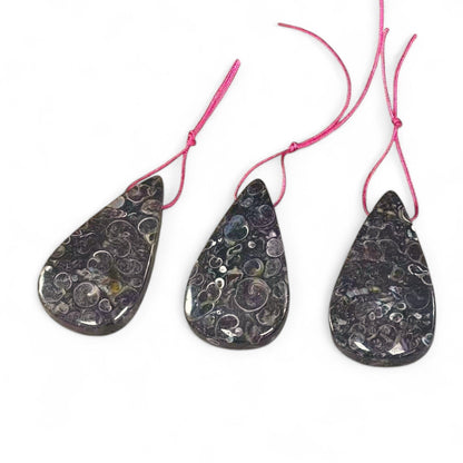 Turritella Fossil Agate, Teardrop Shape, Top Side Drilled, Pendant