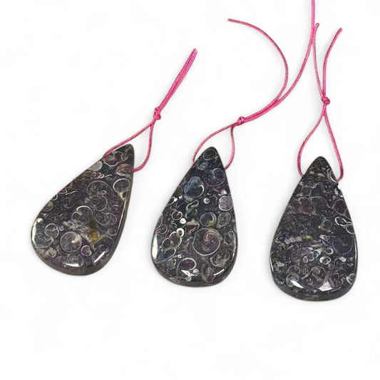 Turritella Fossil Agate, Teardrop Shape, Top Side Drilled, Pendant